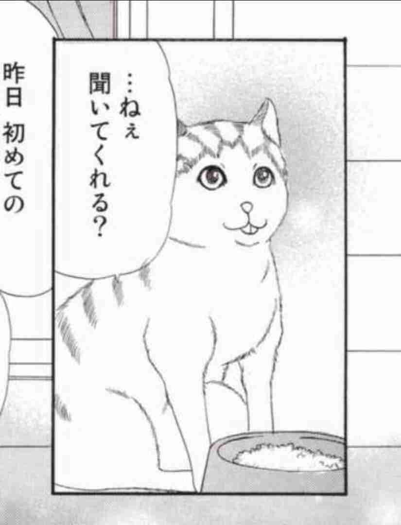 こんなところに猫が!って画像を貼っていくトピ