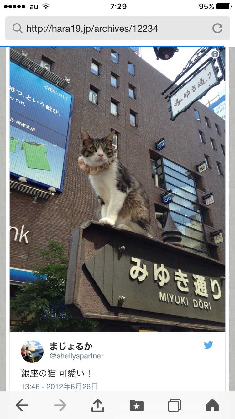 こんなところに猫が!って画像を貼っていくトピ