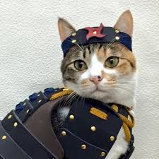 家老になって【雑談】するトピ