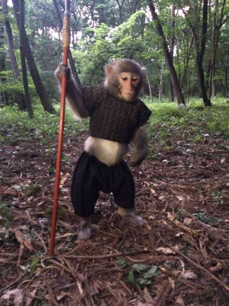 なんて事も無い普通の画像に盛りに盛った釣りタイトルを付けるトピ