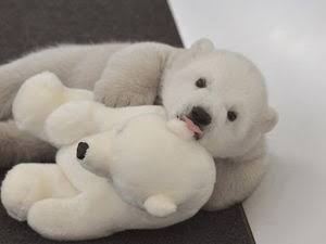 なんて事も無い普通の画像に盛りに盛った釣りタイトルを付けるトピ