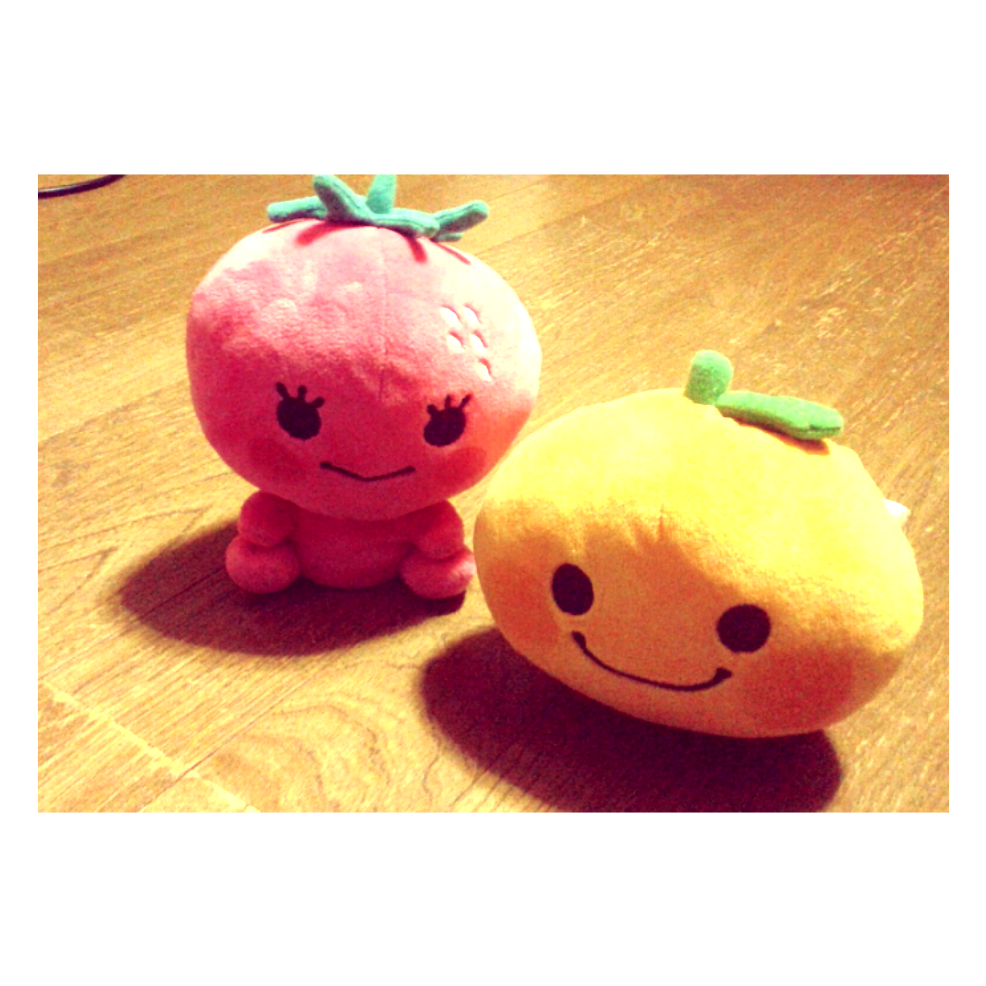 家にあるぬいぐるみの画像を貼るトピ