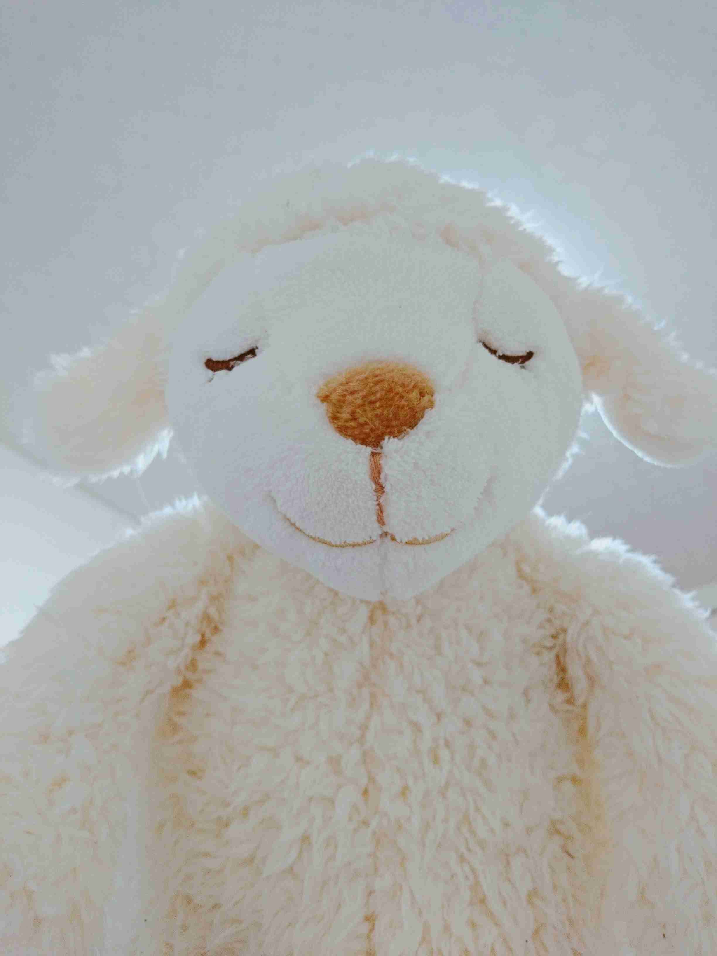 家にあるぬいぐるみの画像を貼るトピ