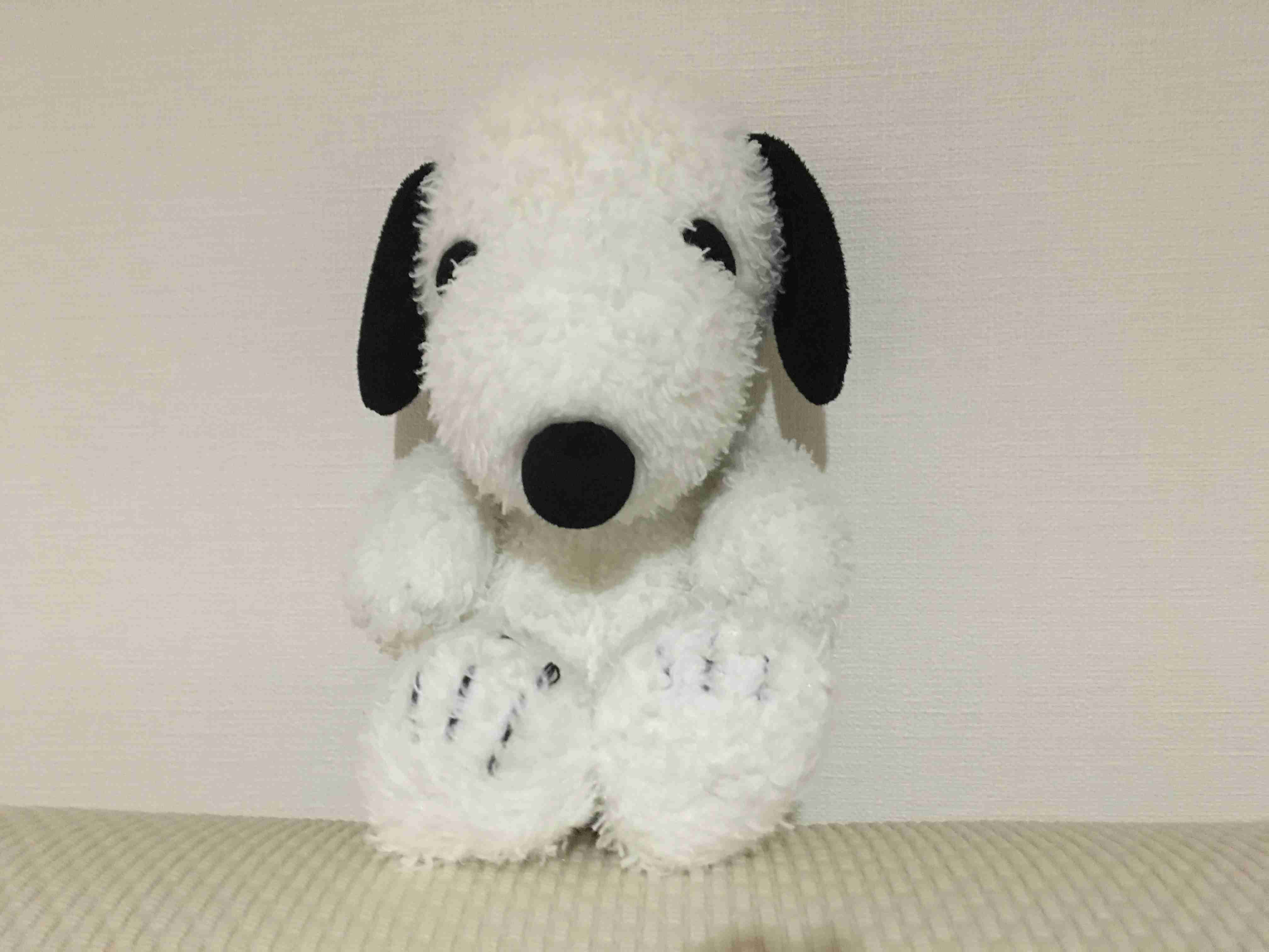 家にあるぬいぐるみの画像を貼るトピ