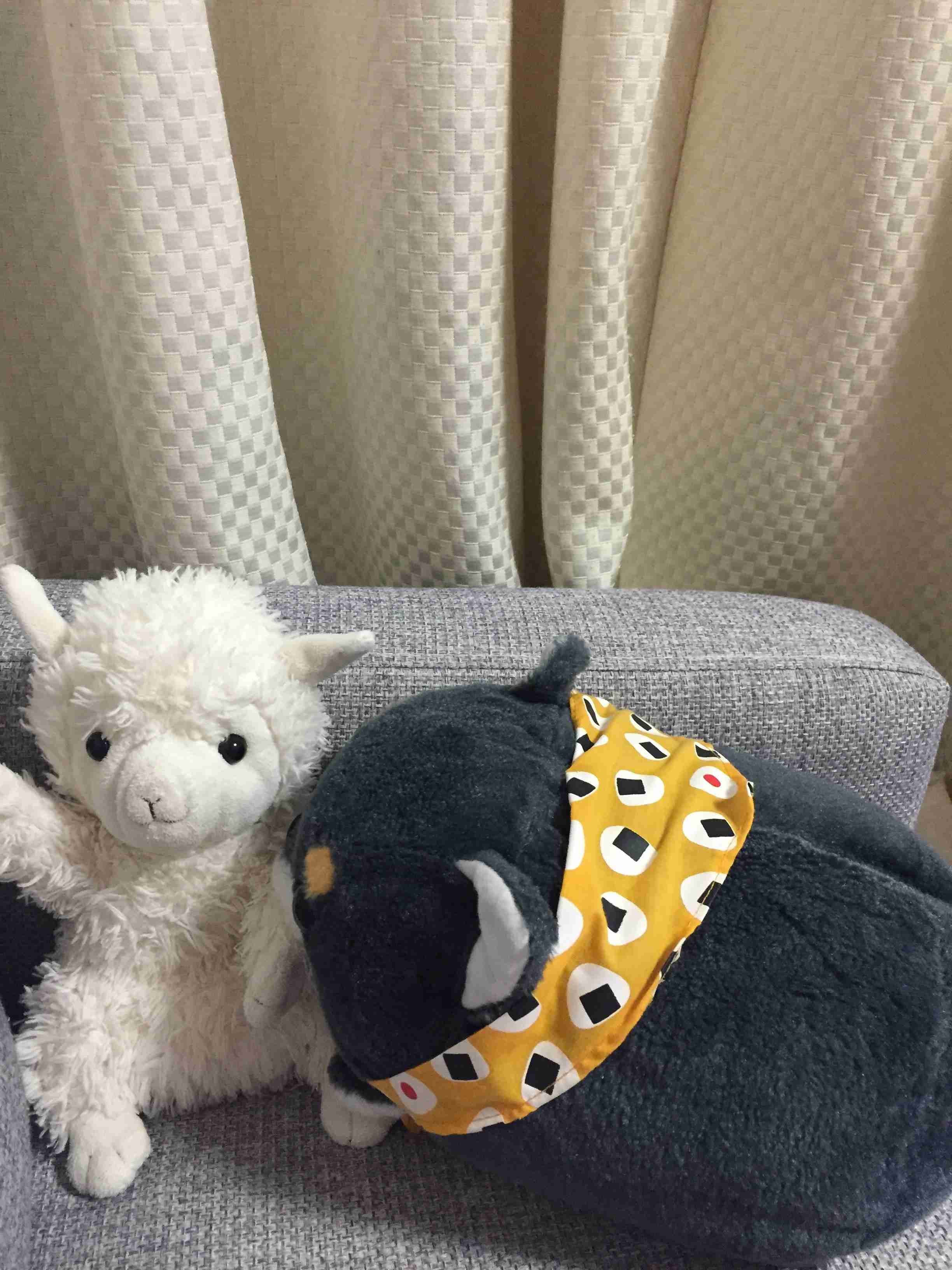家にあるぬいぐるみの画像を貼るトピ
