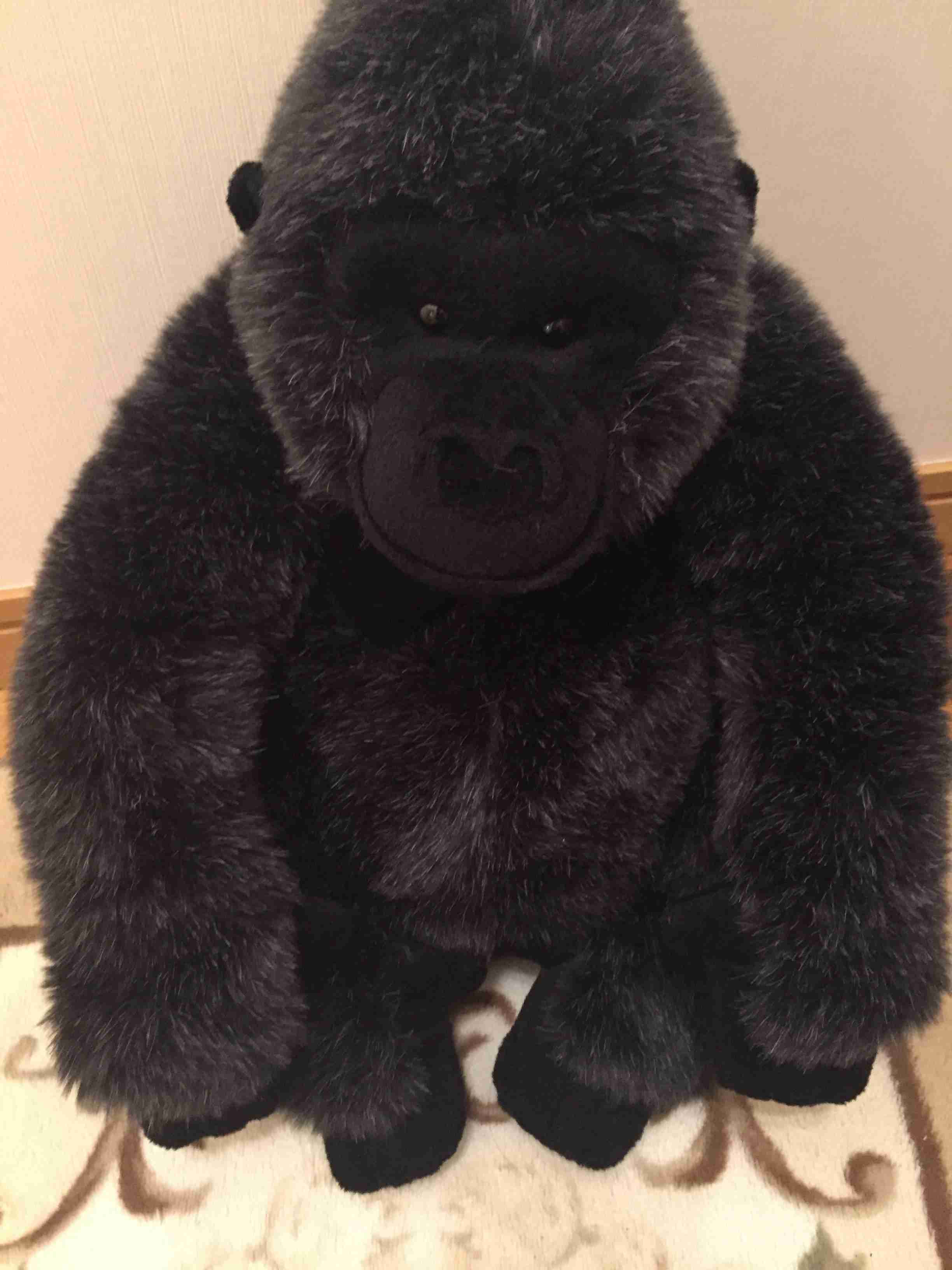 家にあるぬいぐるみの画像を貼るトピ