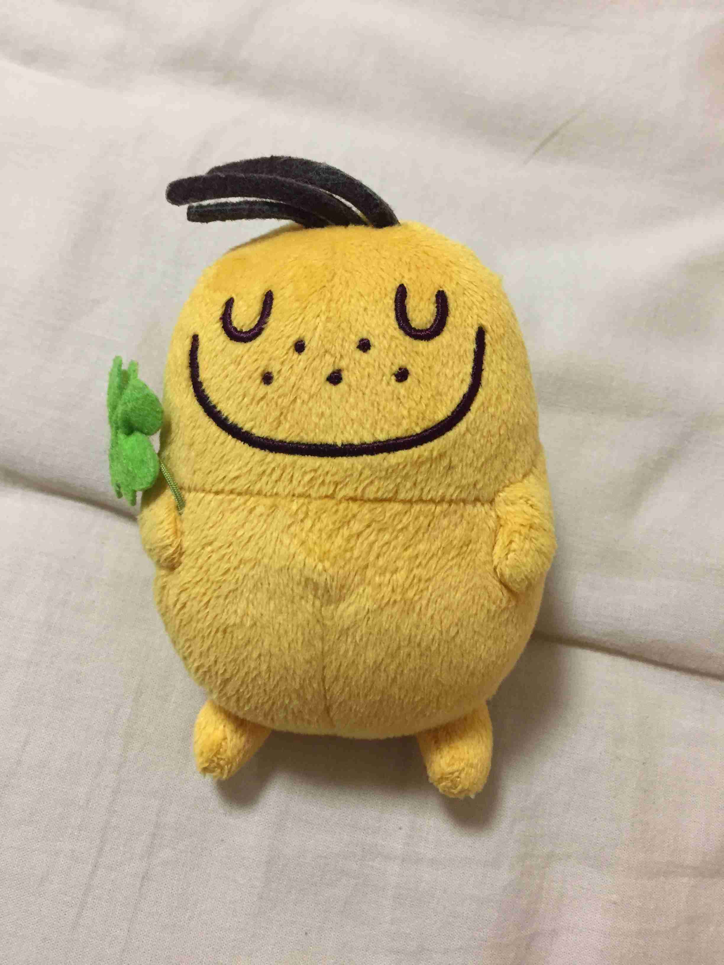 家にあるぬいぐるみの画像を貼るトピ