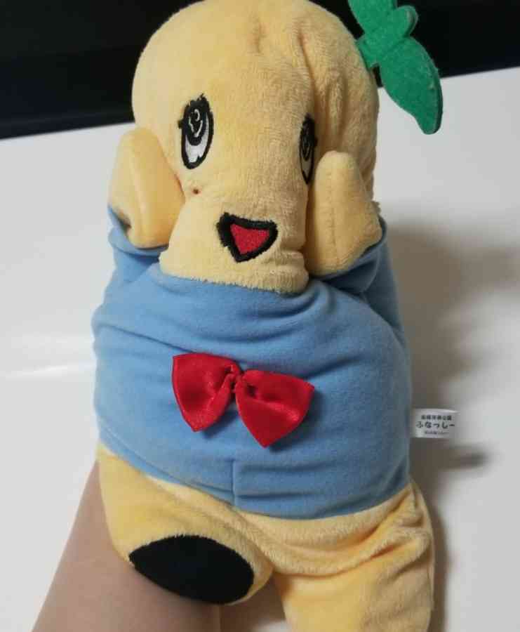 家にあるぬいぐるみの画像を貼るトピ