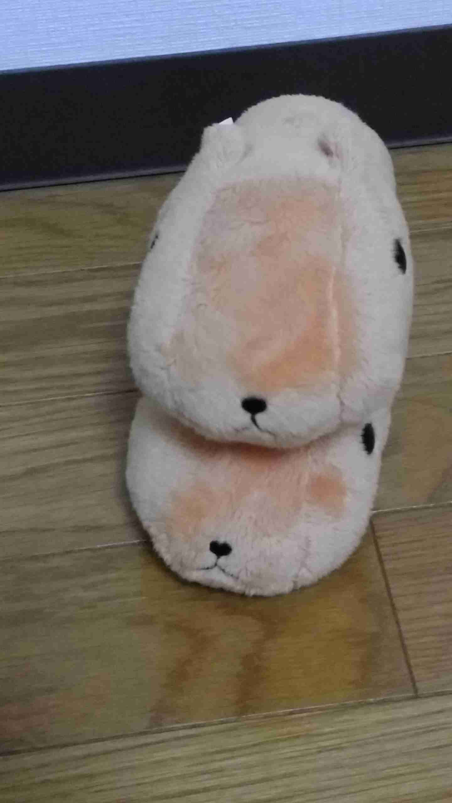家にあるぬいぐるみの画像を貼るトピ
