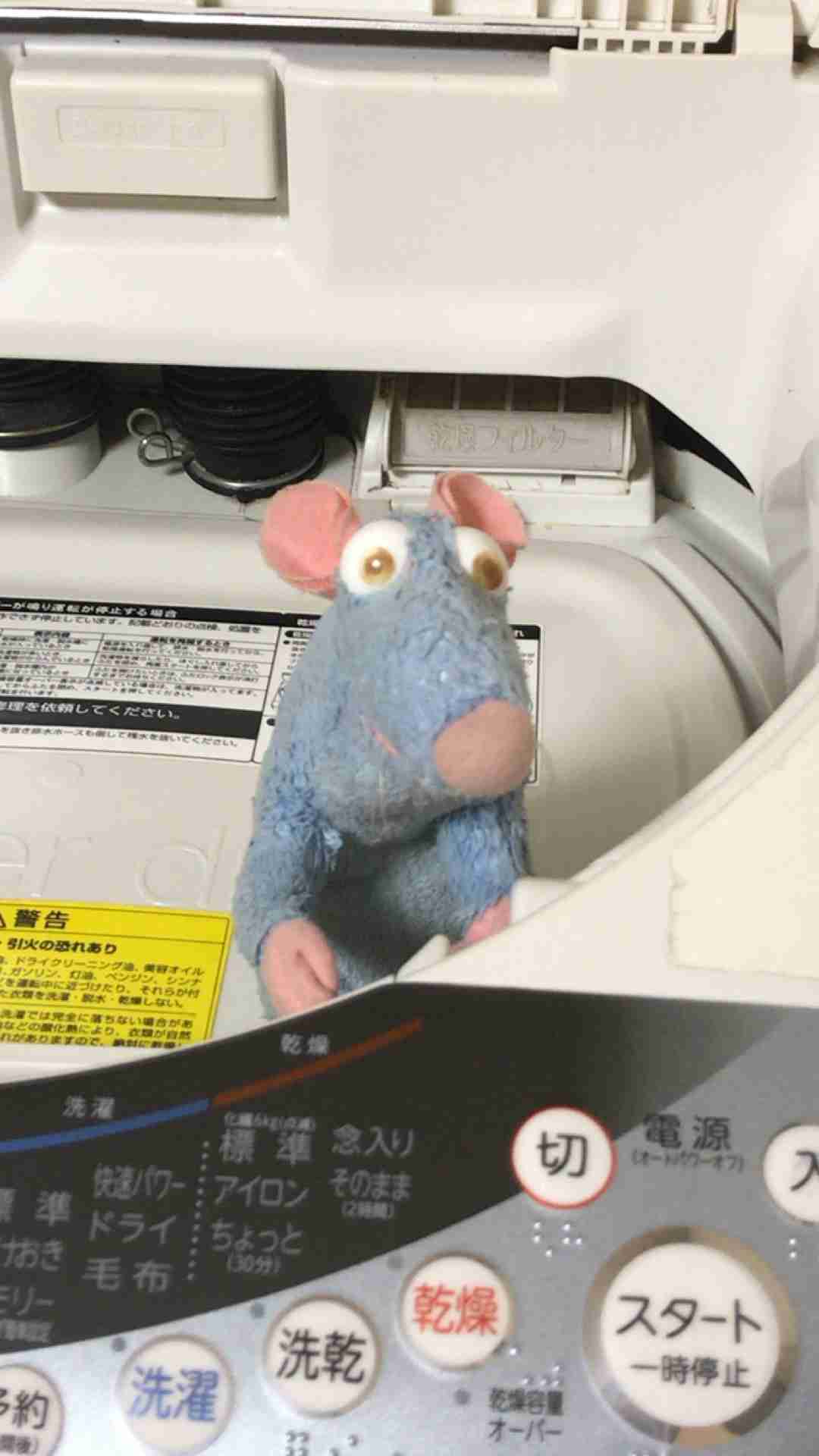 家にあるぬいぐるみの画像を貼るトピ