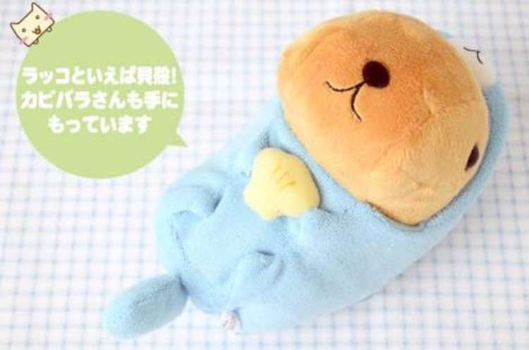 家にあるぬいぐるみの画像を貼るトピ