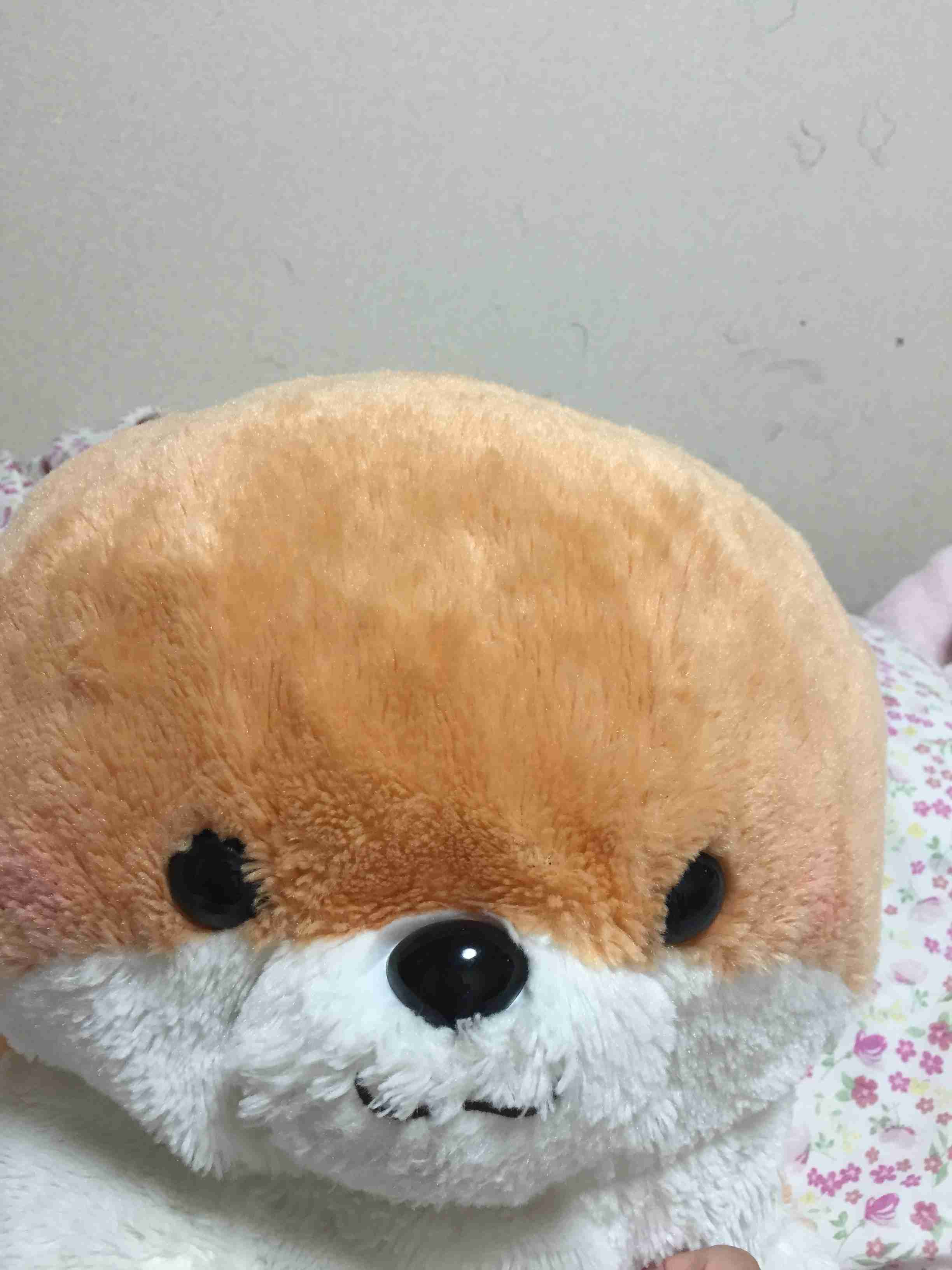 家にあるぬいぐるみの画像を貼るトピ