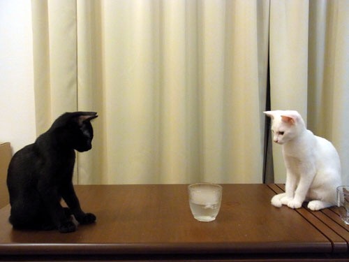 人との距離感がわからなくなる方