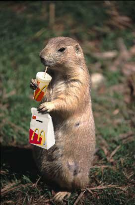 ちょっと休憩しておしゃべりするトピ《雑談》