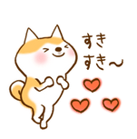 最近の脈なし報告会