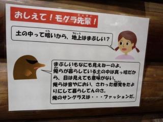【雑談トピ】スギちゃんみたいに喋る秋【Part16】