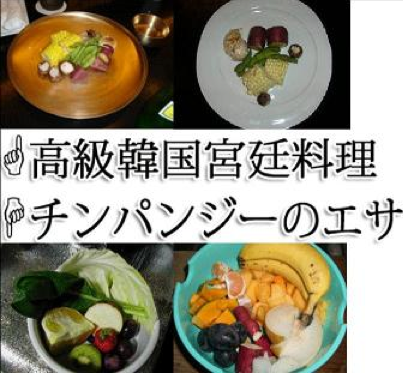 米国アニメでの韓国料理の扱いがひど過ぎる!韓国ネットがっくり「欧米人の口はお子様だから」「確かにビビンパは味はおいしいけど…」