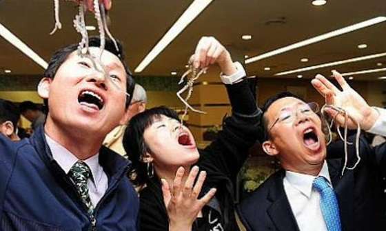 米国アニメでの韓国料理の扱いがひど過ぎる!韓国ネットがっくり「欧米人の口はお子様だから」「確かにビビンパは味はおいしいけど…」