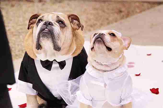 結婚・結婚式を控えている中での転職はどう思いますか？