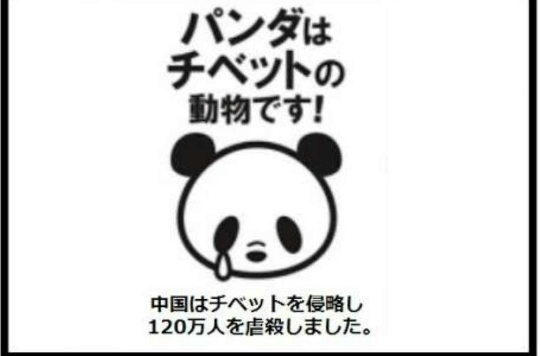 勝間和代氏 上野動物園のパンダ報道に本音「1ミリも(興味)ない」
