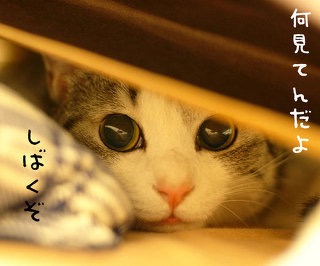 どうでもいい事で他人にイラついてしまった事