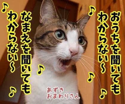 ペット、動物をテーマにした歌♪