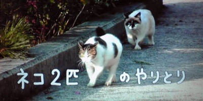 ペット、動物をテーマにした歌♪