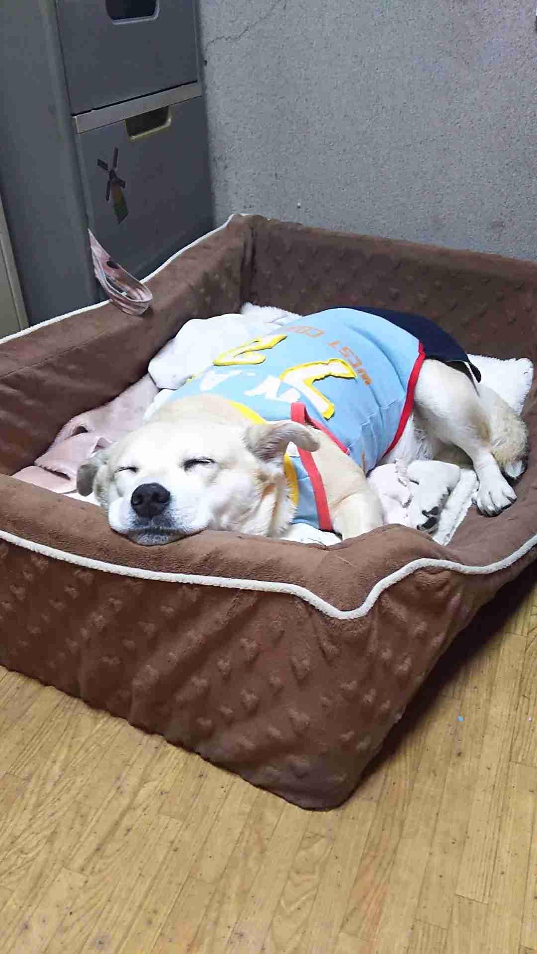 【雑談】心も体も暖まる画像を貼りましょう