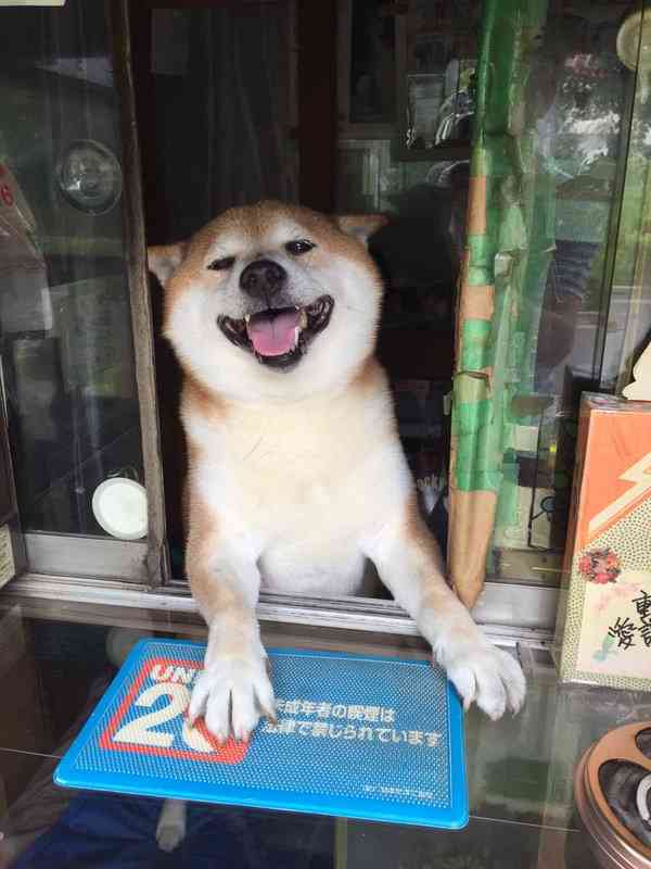 【雑談】心も体も暖まる画像を貼りましょう