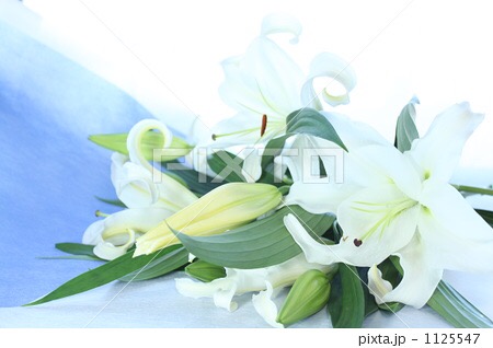 死ぬ直前になんて言うと思いますか？