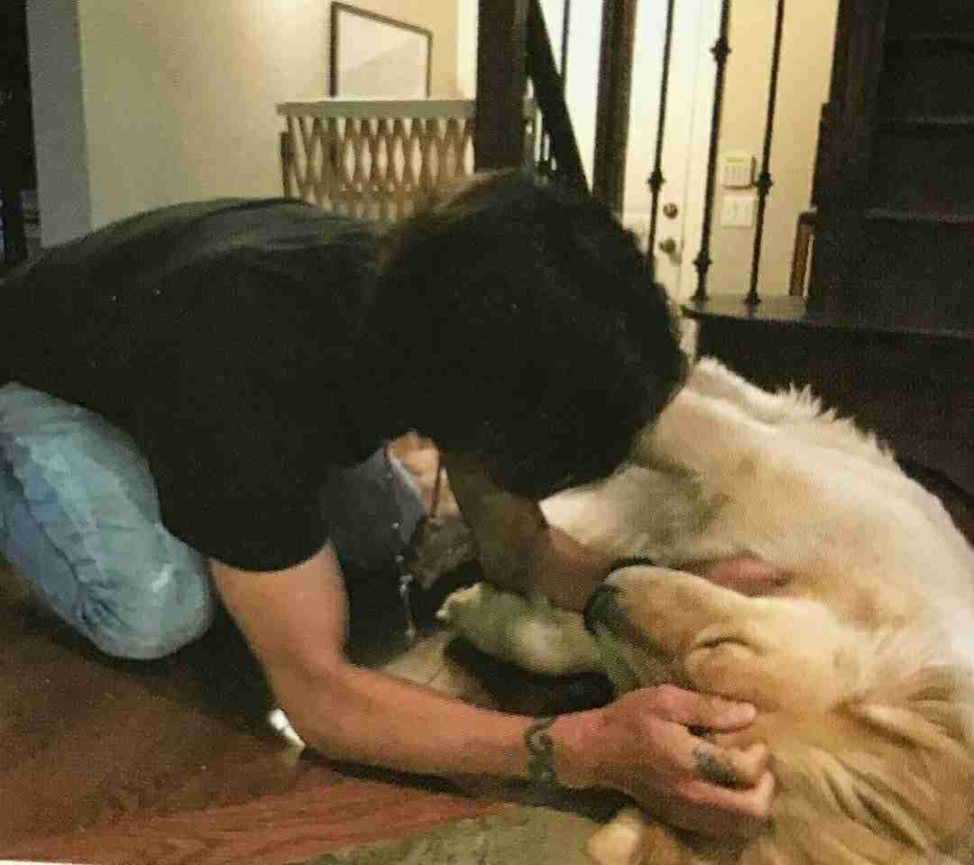 いろんな稲葉浩志が見たい