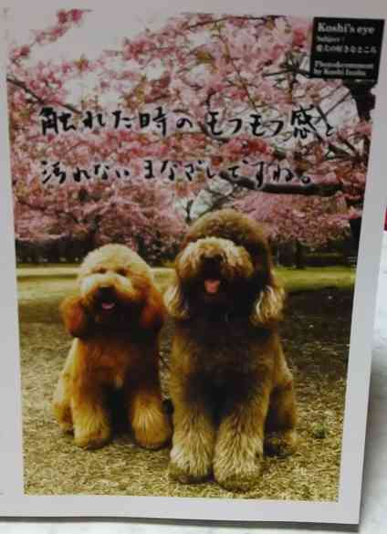 いろんな稲葉浩志が見たい