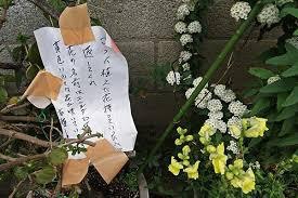 こんな物 盗まれたよ!っていうトピ。