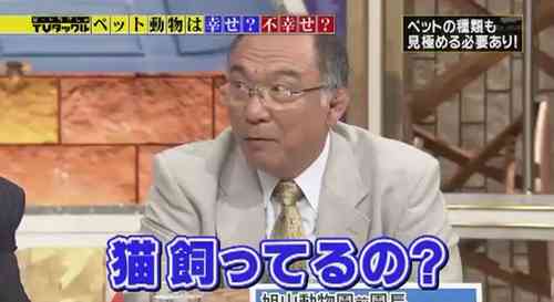 動物の命についてどう思いますか?