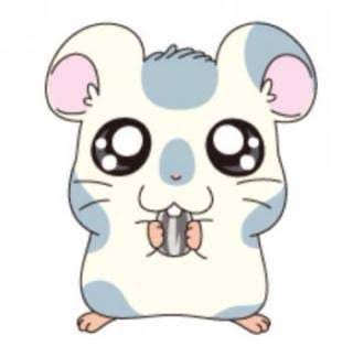 今までの人生で経験したことあることにプラスをつけるトピ