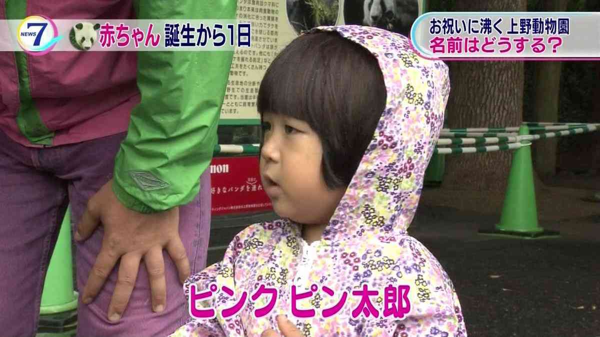 【予想】上野動物園のパンダの赤ちゃんの名前を予想してみよう