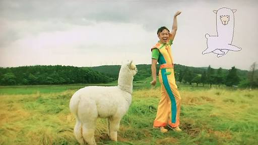 アルパカの画像に癒されよう