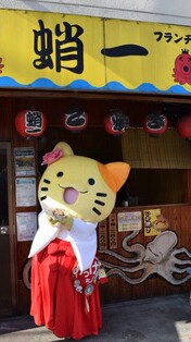 ガルちゃん猫カフェ18号店 開店しました♪ (初めての方も大歓迎！)