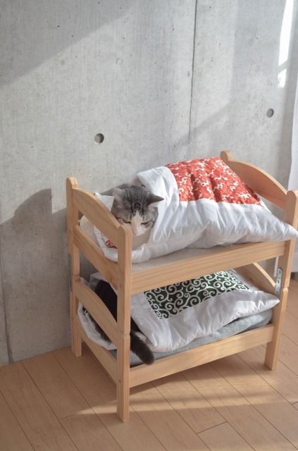 ガルちゃん猫カフェ18号店 開店しました♪ (初めての方も大歓迎！)