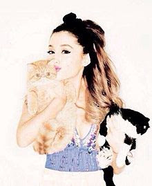 Ariana Grandeを貼るトピ♡