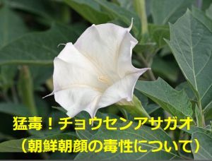 関東大震災「慰霊の日」、騒然…朝鮮人ら追悼式典と疑義を唱える慰霊祭