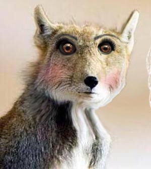 【宇宙から】地球外生命体になって会話しよう【きたよ】