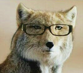 朝ドラ「ガルっこ」にありそうなこと