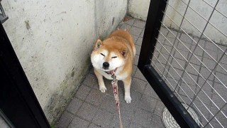 さとり世代の特徴