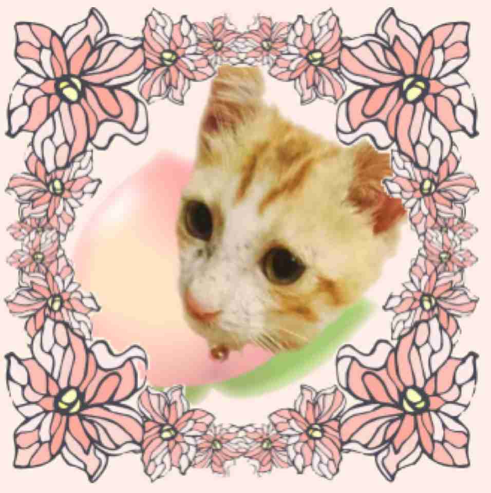 【part2】せやかて工藤になりきって終わった夏を語るトピ【やで】