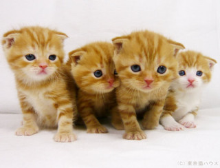 【part2】せやかて工藤になりきって終わった夏を語るトピ【やで】