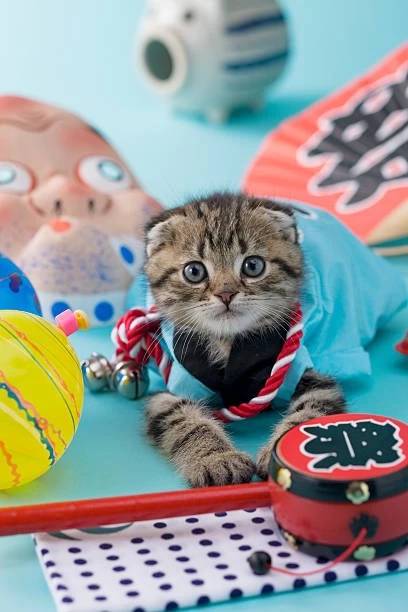 【スギちゃん】暑さ寒さも彼岸まで。秋に向かうぜぇ