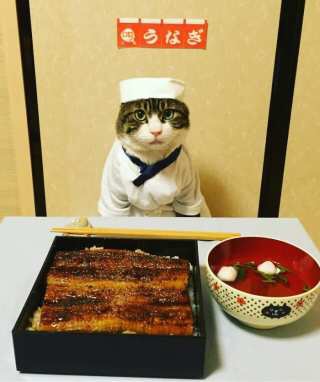 【スギちゃん】暑さ寒さも彼岸まで。秋に向かうぜぇ