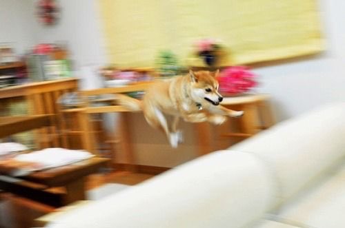 【スギちゃん】暑さ寒さも彼岸まで。秋に向かうぜぇ