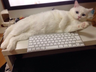 【スギちゃん】暑さ寒さも彼岸まで。秋に向かうぜぇ